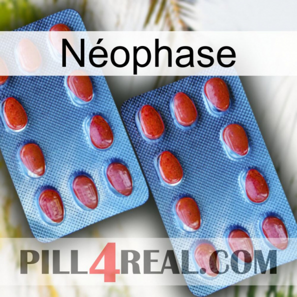 Néophase 05